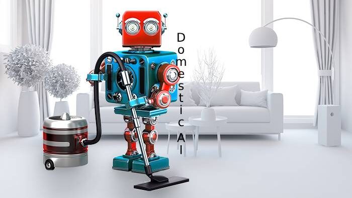 domestic ai feature image